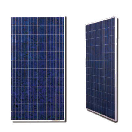 Canadian Solar MaxPower CS6X-305P 305w Poly Solar Panel - Solaris
