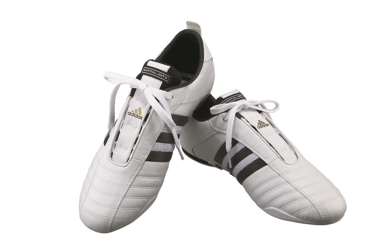 martial arts shoes