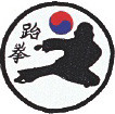 TKD Kick Patch 4"
