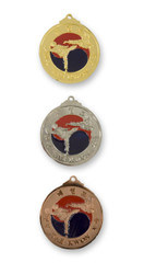 Back View of Taekwondo Medals