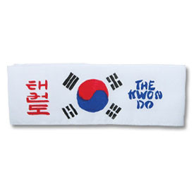 Tae Kwon Do Headband