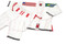 GTMA Platinum Brazilian Jiu-jitsu uniform.  White with red stitching option shown.
