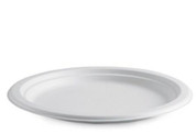 10" White Round Biocane Plate