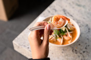14cm Biocane Chinese Soup Spoons