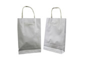 Small Paper Carry Bags with Twist Handle - White