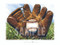 The perfect item to get signed by your favorite player!