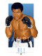 Illustration of one of Boxings All-Time Greats Muhammad Ali.
