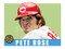 Illustration of Big Red Machine and Cincinnati fan favorite Pete Rose done in the '49 Leaf baseball card style.