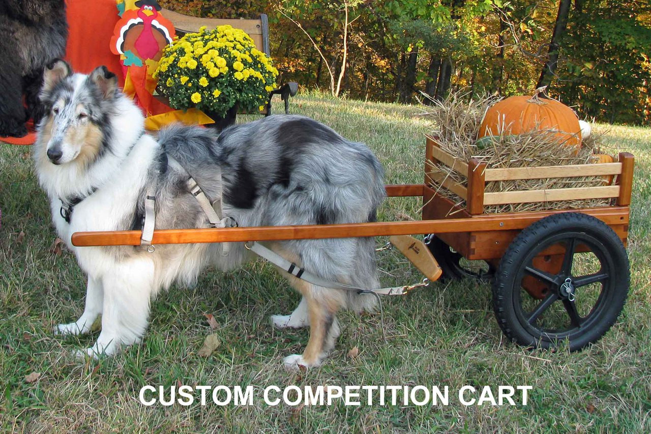 Small Custom Dog Cart