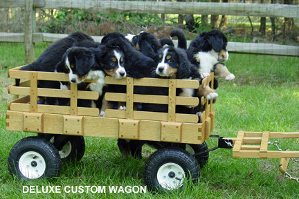 extra large dog wagon