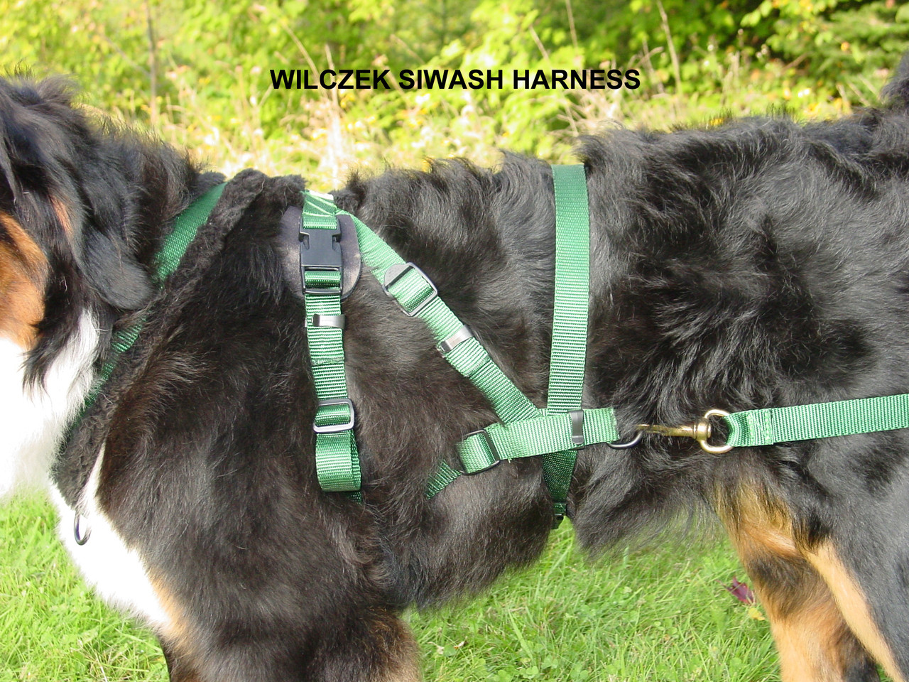 dog harness for pulling wagon