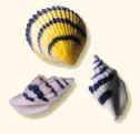 Sea Shells Edible Hard Sugar Decorations