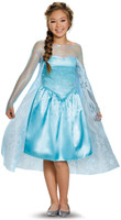 Frozen: Elsa Tween Costume