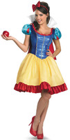 Disney Princess Snow White Fab Deluxe Adult Costume Plus