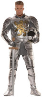 Knight in Shining Armor Adult Costume 2