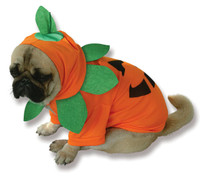 Pumpkin Pooch Dog Costume
