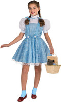 The Wizard of Oz  Dorothy Deluxe Child Costume