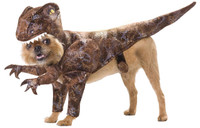 Animal Planet Raptor Pet Costume