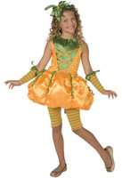 Precious Pumpkin Child Costume