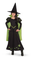 Wizard of Oz +AC0- Wicked Witch Of The West Child Costume