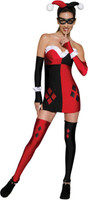 DC Comics Super Villans Harley Quinn  Adult Costume