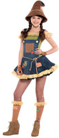 Sweet Scarecrow Teen Costume