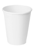 Frosty White 9 oz. Paper Cups (24 count)