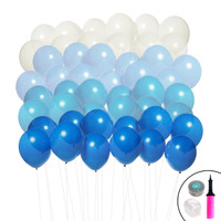 Ombre Balloon Kit (Blue & White)