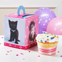 rachaelhale Glamour Cats Cupcake Boxes