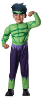 Avengers Assemble Hulk Toddler Boy Costume