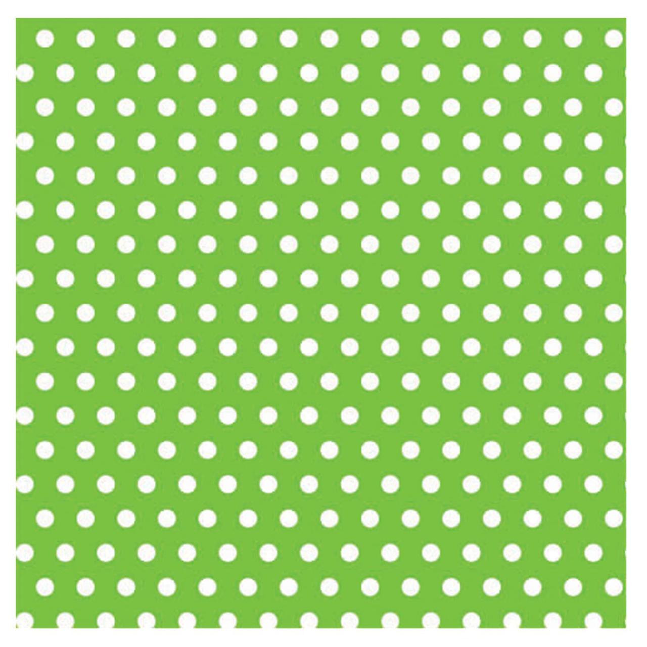 Kiwi with Polka Dot Jumbo Gift Wrap