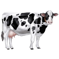 Jointed Cow Cutout