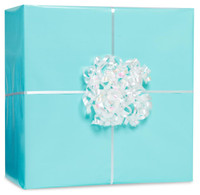 Robins Egg Blue Gift Wrap Kit