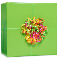 Kiwi Gift Wrap Kit