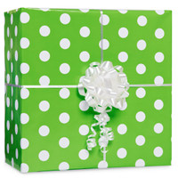 Kiwi with Polka Dots Gift Wrap Kit