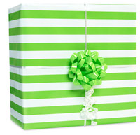Kiwi Stripe Gift Wrap Kit