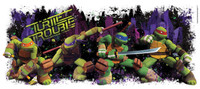 Teenage Mutant Ninja Turtles Giant Wall Decal