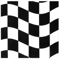 Black and White Check Lunch Napkins