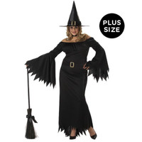 Elegant Witch Adult Plus Costume