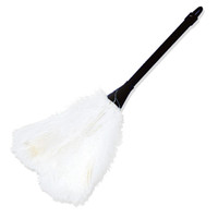 Feather Duster