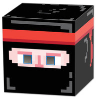 Ninja 8-Bit Box Head