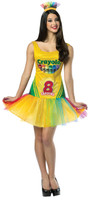 Crayola Crayon Box Adult Costume (2)