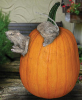Rat Pumpkin Push-Ins