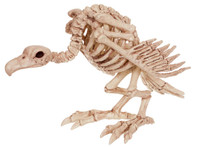 Skeleton Vulture