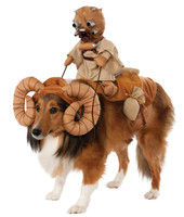 Star Wars Bantha Rider Pet Costume