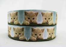 1 Metre CAT/KITTEN Grossgrain 25mm Ribbon