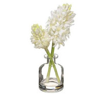 White Hyacinth in Clear Glass Vase  10.5" 