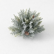 Frosted Prickly Pine Half Orb