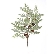 Cypress Pine Cone Branch