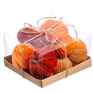Box of 10 Velvet Pumpkins